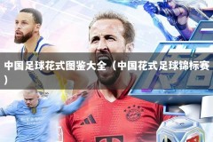 中国足球花式图鉴大全（中国花式足球锦标赛）