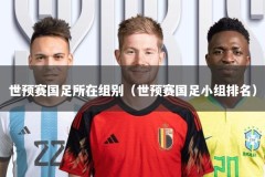 世预赛国足所在组别（世预赛国足小组排名）