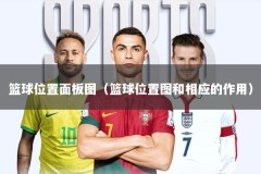 篮球位置面板图（篮球位置图和相应的作用）