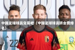 中国足球球员交易吧（中国足球球员转会费排名）