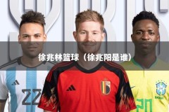 徐兆林篮球（徐兆阳是谁）