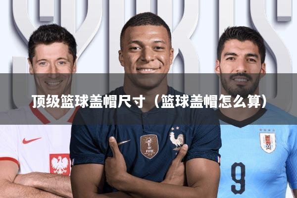 顶级篮球盖帽尺寸(篮球盖帽怎么算)